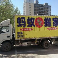 專(zhuān)業(yè)、高效、省心——邯鄲市邯山區(qū)螞蟻搬家渚河路服務(wù)部，您的理想搬家伙伴